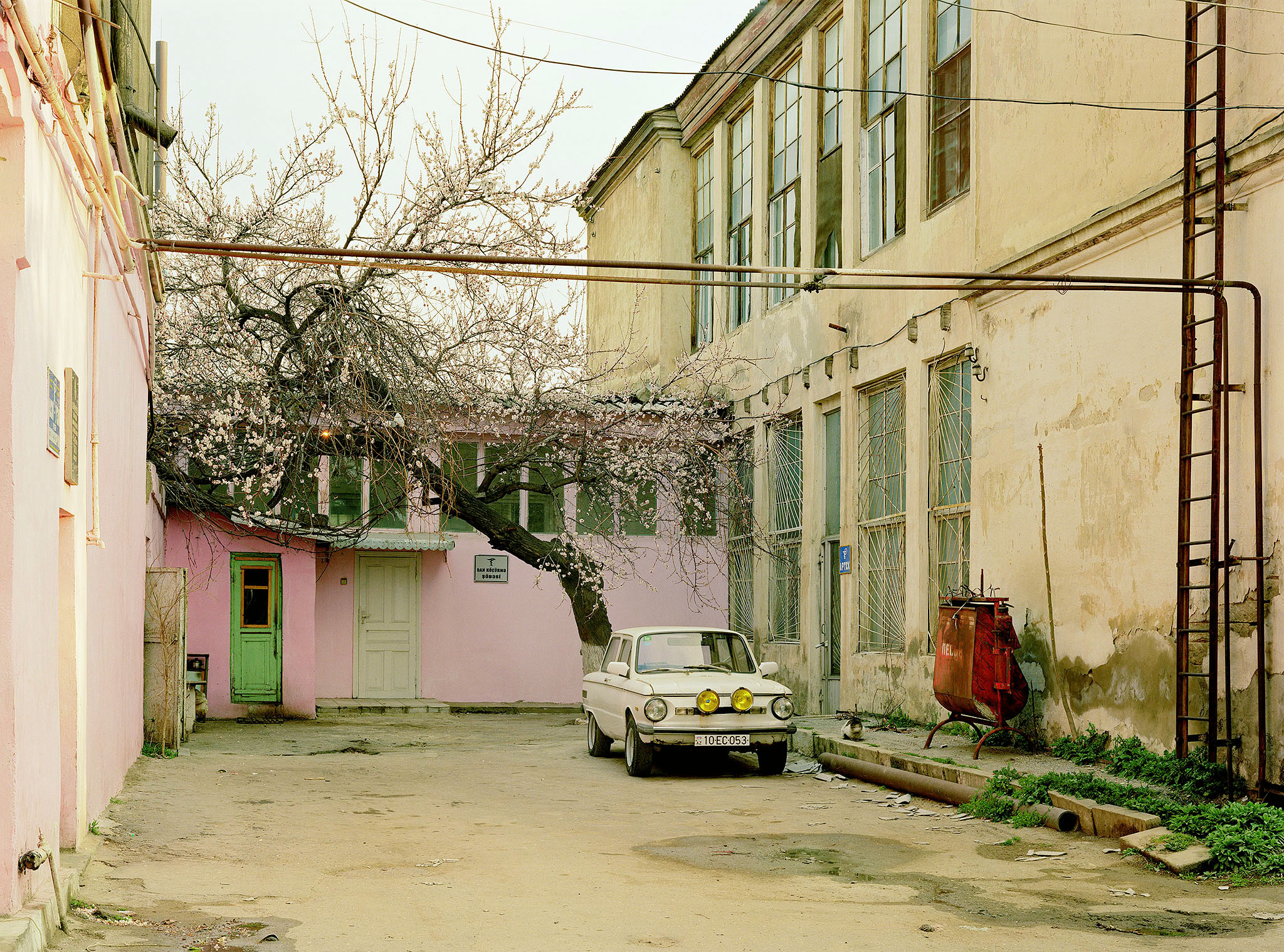 Hospital